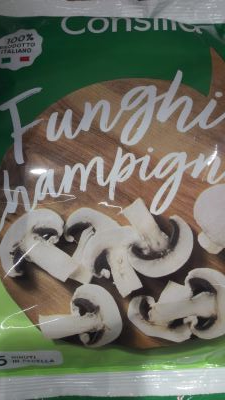 Funghi champignon