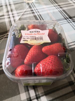FRAGOLA MATERA