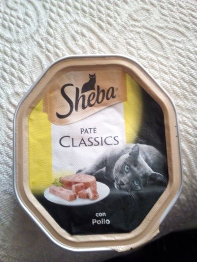Sheda paté classics