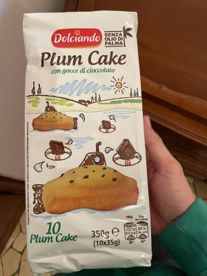 Plumcake al cioccolato 