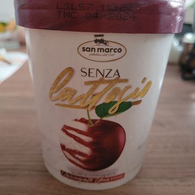 Gelato senza lattosio 