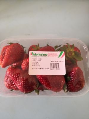 FRAGOLE, VARIETÀ MELISSA