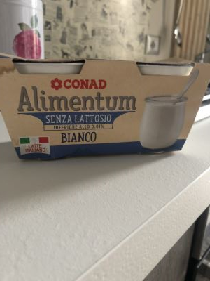 Alimentum yogurt