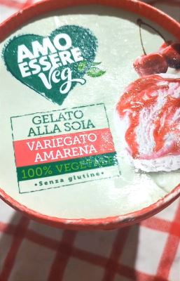 Gelato alla soia variegato amarena 