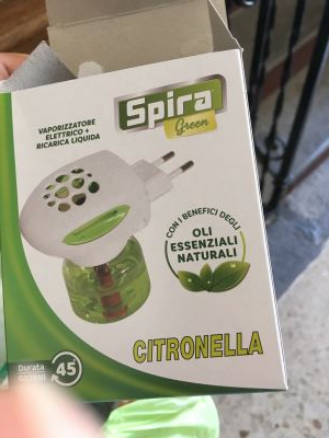 Citronella