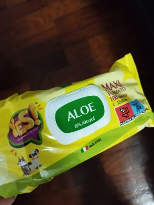 Salviette igieniche Aloe 0% alcool