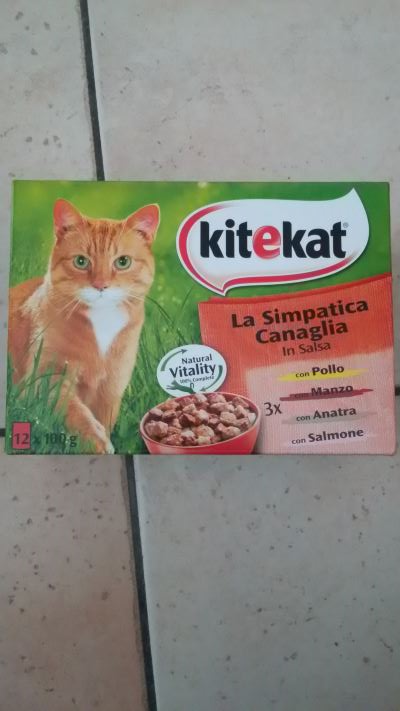 La simpatica canaglia