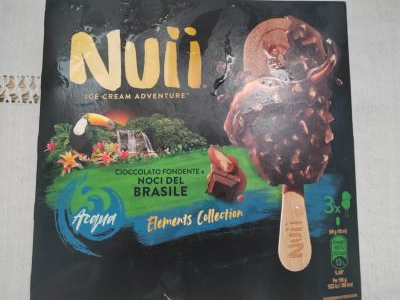 Nuii  ice Cream Adventure cioccolato fondente e noci del Brasile 