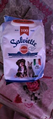 Salviette umide 