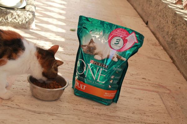 Purina One Adult