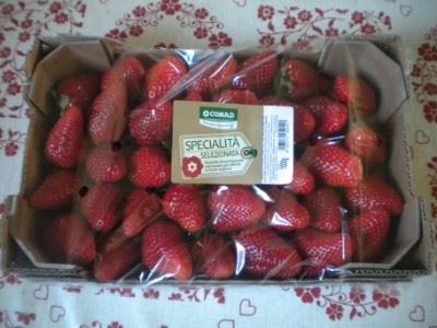 Fragole percorso qualità