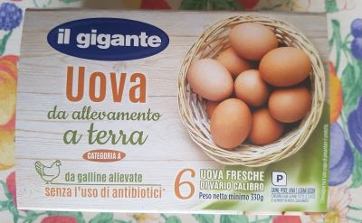 Uova fresche da allevamento a terra