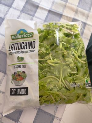Lattughino 