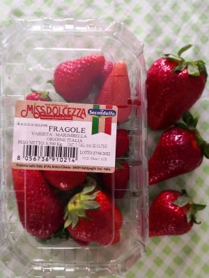 FRAGOLE varietà MARIMBELLA