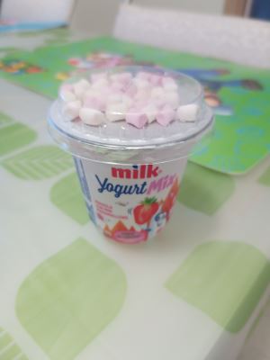 Milk Yogurt mix