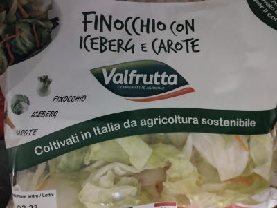 Finocchio con iceberg e carote