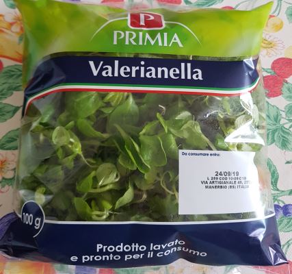 Valerianella Primia