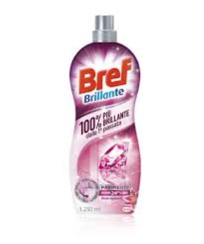 Bref brillante floral Eufhoria