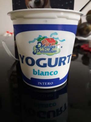 Yogurt bianco