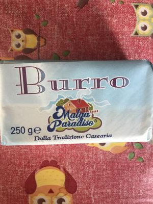 Burro