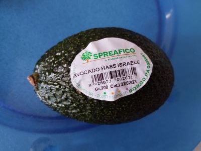 Avocado