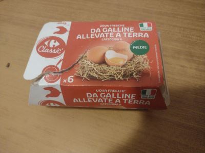 Uova fresche da galline allevate a terra