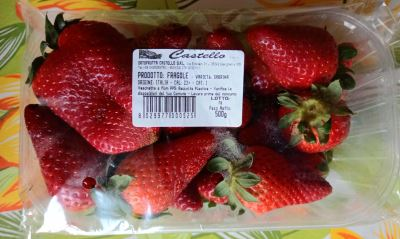 Fragole Varietà Sabrina 