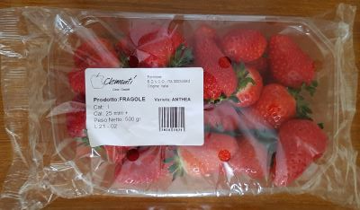 Fragole Varietà Anthea