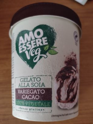 Gelato alla soia variegato al cacao