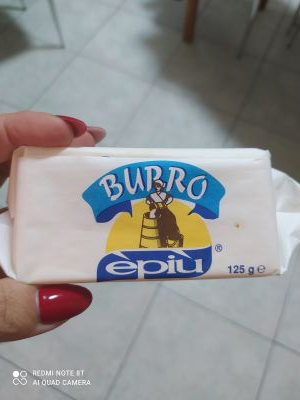 Burro