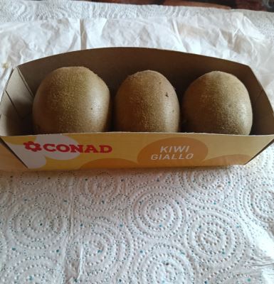 Kiwi 
