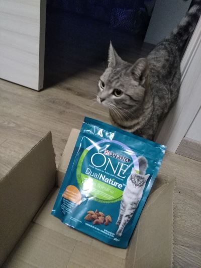 Purina one dual nature