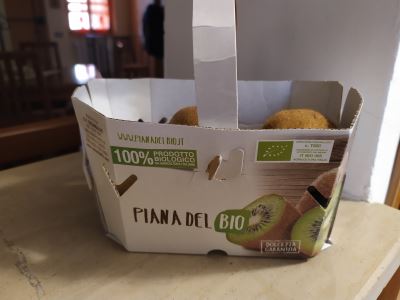 Kiwi