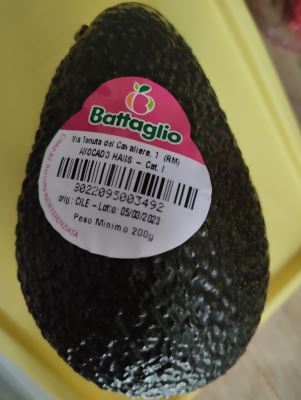 Avocado 