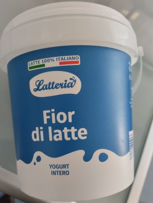 Yogurt intero da 1 kg