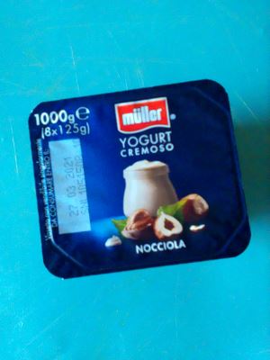 Yogurt cremoso alla nocciola