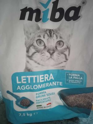 LETTIERA GATTI AGGLOMERANTE
