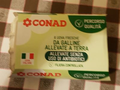 Uova fresche di galline allevate a terra Conad