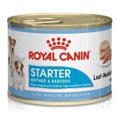 Royal Starter Mousse