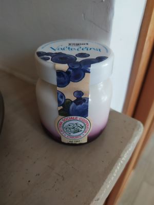 Yogurt mirtillo Valtellina
