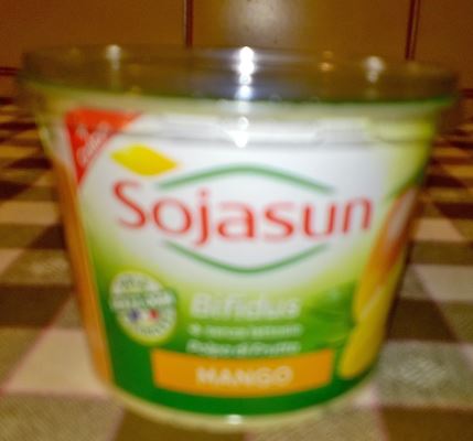 Yogurt alla soia 