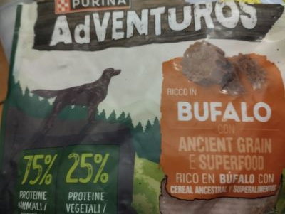 Adventuros Bufalo