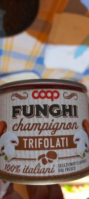 Funghi champignon trifolati