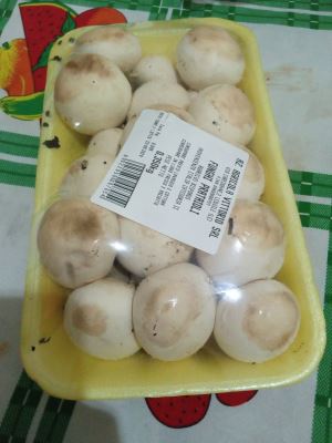 Funghi prataioli