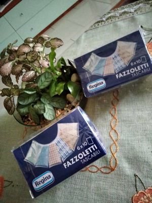 Regina Fazzoletti tascabili
