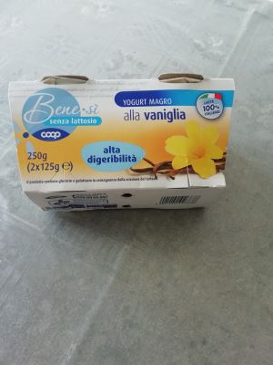 Yogurt alla vaniglia 