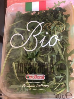 Rucola 