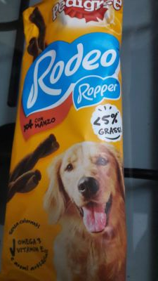 Rodeo