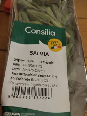 Salvia