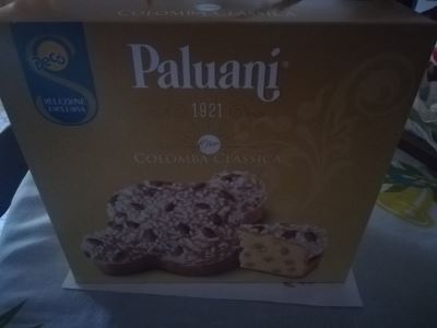 Colomba classica 